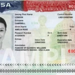 Visa Photo