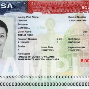 Visa Photo